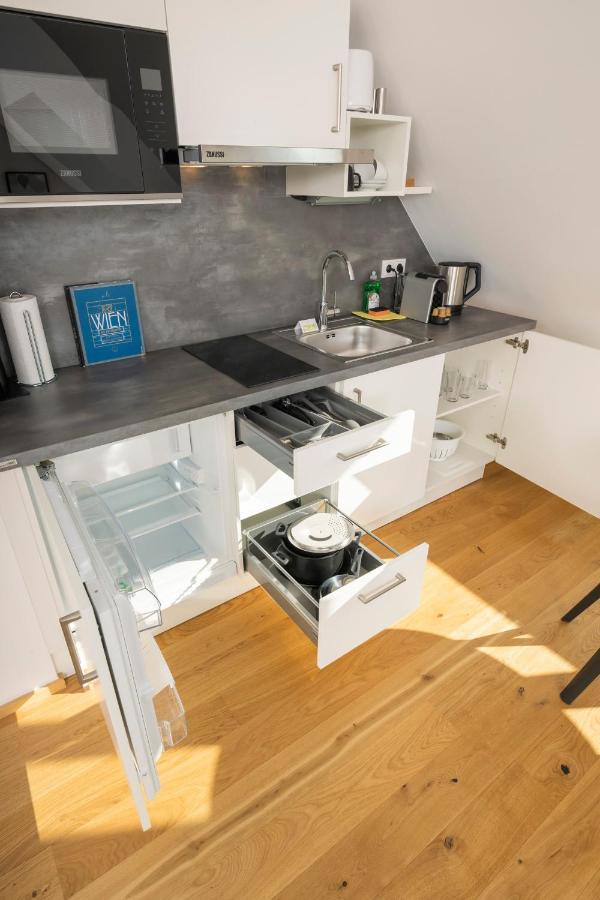 Rooftop Apartments Mit Grosser Terrasse ウィーン エクステリア 写真